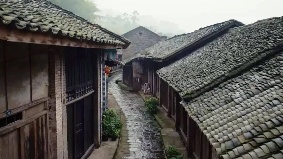 萌宠大连接